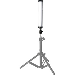 Шарова головка Nanlite Mini Ball Head with Hot Shoe Adapter and 1/4''-20 Mount (AS-BH-1/4)