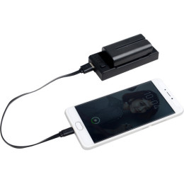 Зарядний пристрій Nanlite 2-in-1 Reciprical Battery Charger for NP-F-Style Batteries (CN-58)